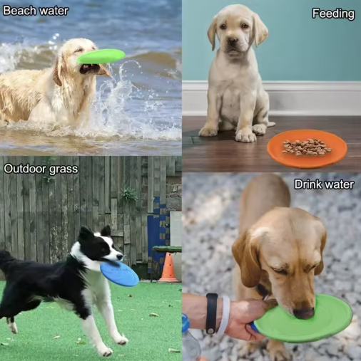 Frisbee de Goma