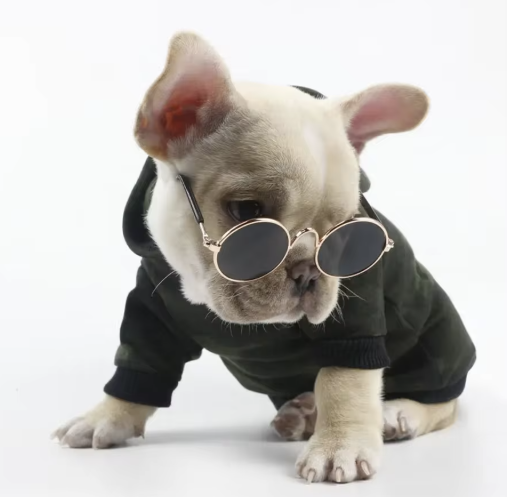 Gafas de Sol para Perros