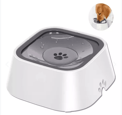 Bebedero Antiderrame