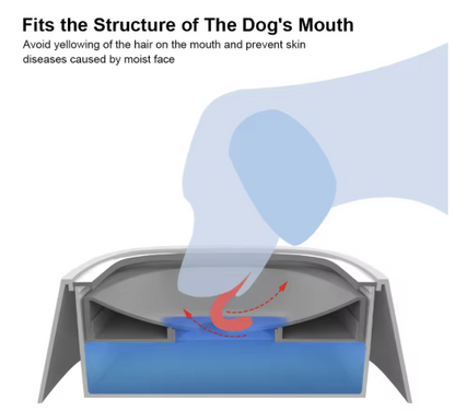 Bebedero Antiderrame