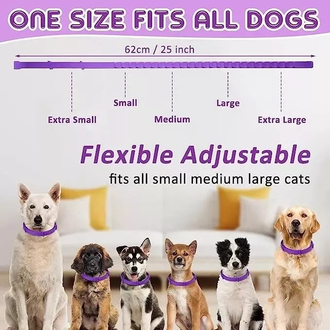 Collar Tranquilizador de Feromonas