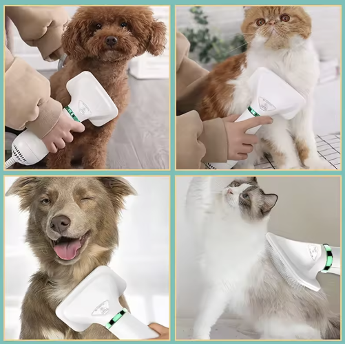 Cepillo Secador 2 en 1