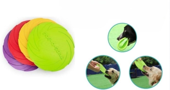 Frisbee de Goma