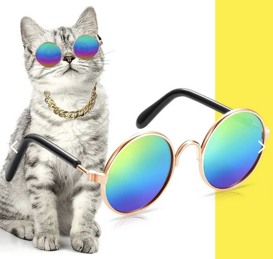 Gafas de Sol para Gatos