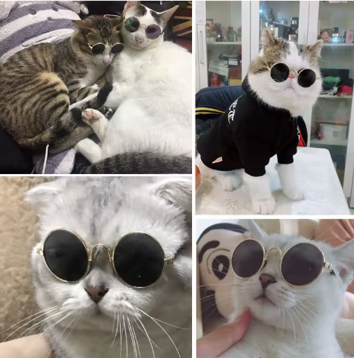 Gafas de Sol para Gatos