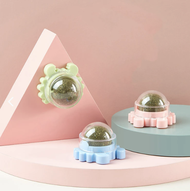 Catnip Juguete y Limpiador Dental