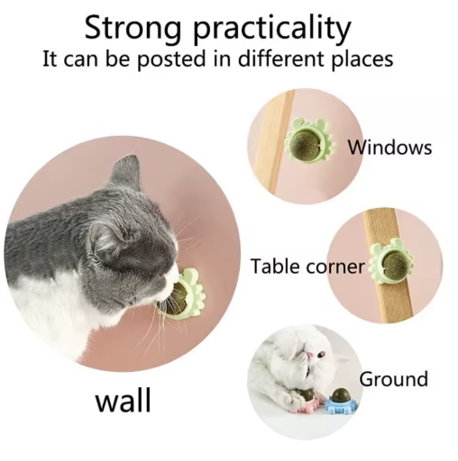 Catnip Juguete y Limpiador Dental