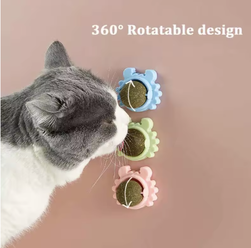 Catnip Juguete y Limpiador Dental