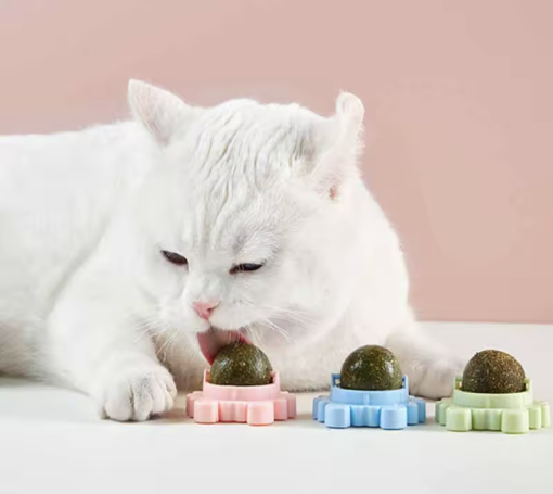 Catnip Juguete y Limpiador Dental