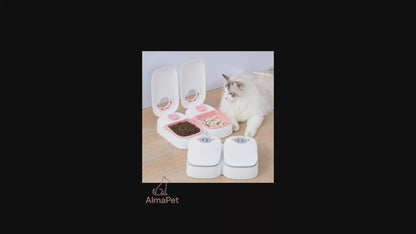 Dispensador de Alimento con Temporizador