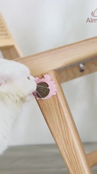 Catnip Juguete y Limpiador Dental