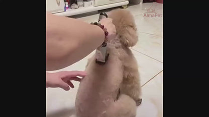 Kit de Peluquería Profesional