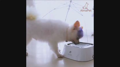 Bebedero Antiderrame