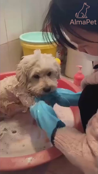 Cepillo Secador 2 en 1