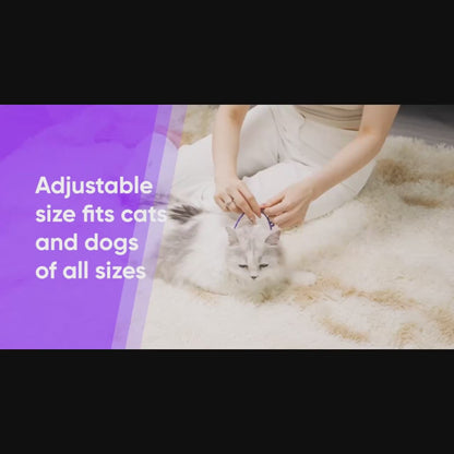 Collar Tranquilizador de Feromonas