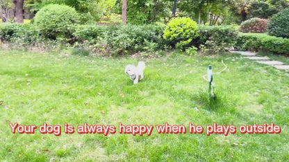 Limpiador Electrico de Patas